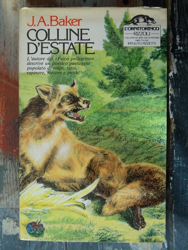 Colline estate a baker - colline,