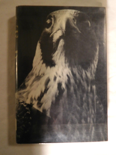 Vintage 1967 the - "the, peregrine"